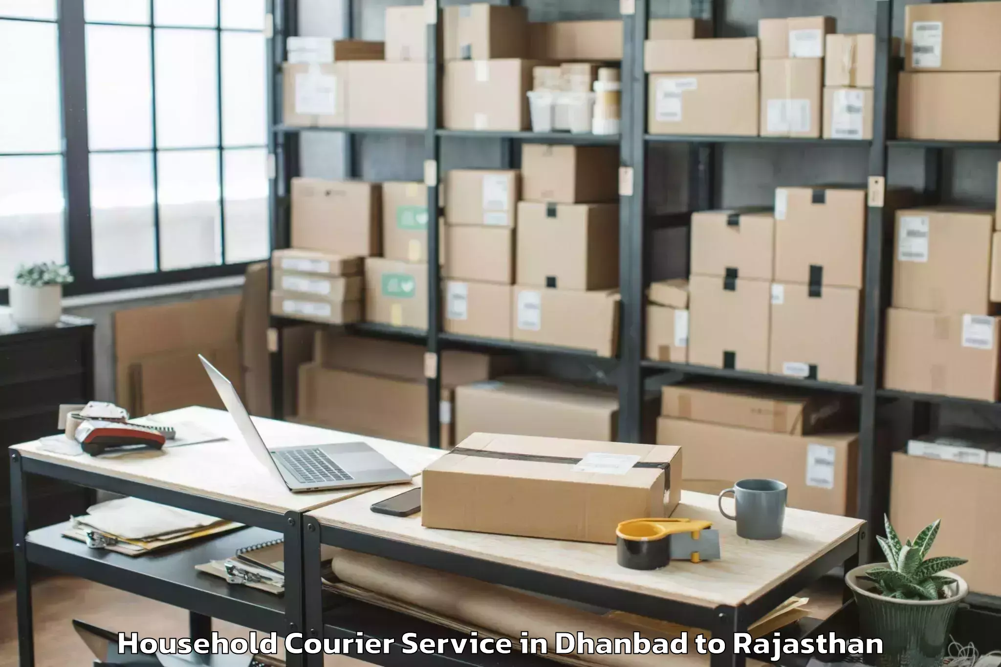 Affordable Dhanbad to Salumbar Household Courier